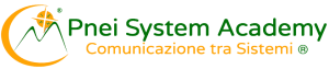 formazionepnei.pneisystem.com